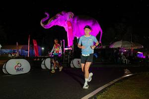 BIB: 
                            <button type="button" onclick="openModal(26542947)" class="btn btn-primary btn-sm float-right btn-popup" data-toggle="modal" data-target=".modal-high-quality">
                        <i class="fas fa-shopping-cart"></i> Add to Cart
                    </button>
                                            <button type="button" onclick="isThisMe(26542947, true)" class="btn btn-success btn-sm float-right btn-popup btn-isme hidden" data-toggle="tooltip" data-placement="bottom" title="นี่คือรูปของคุณใช่ไหม คลิกที่นี่เพื่อเอาเข้าอัลบั้ม">
                        <i class="fas fa-plus"></i> Add to album
                    </button>
                    <button type="button" onclick="isThisMe(26542947, false)" class="btn btn-warning btn-sm float-right btn-popup btn-isnotme hidden">
                        <i class="fas fa-ban"></i> Remove from album
                    </button>